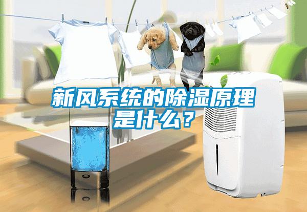 新風系統的除濕原理是什么？