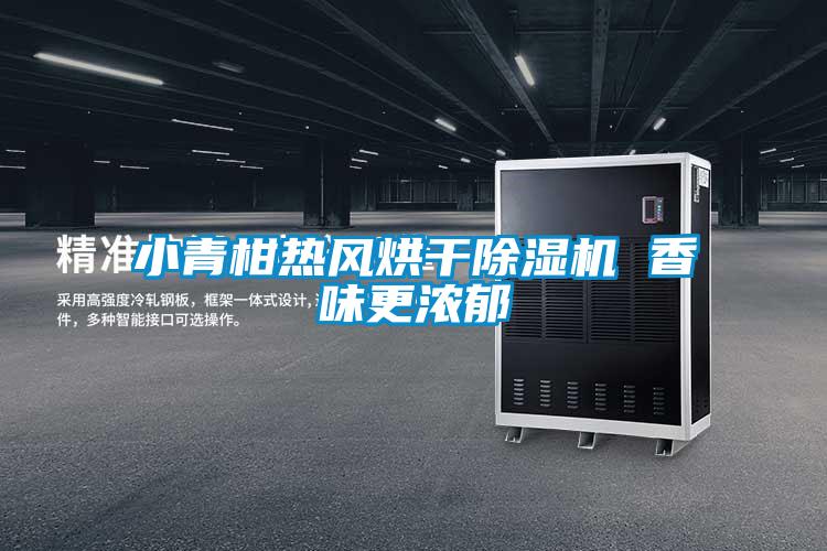 小青柑熱風(fēng)烘干除濕機 香味更濃郁