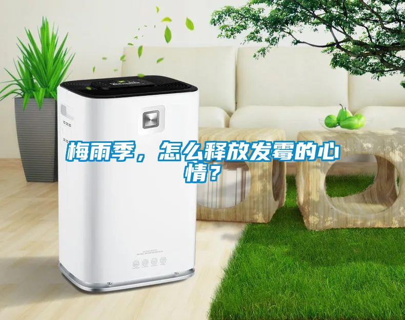 梅雨季，怎么釋放發霉的心情？