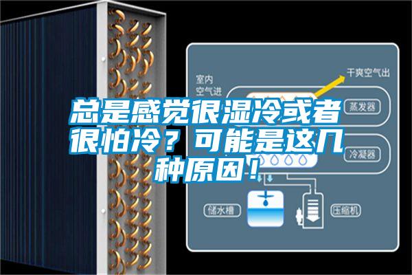 總是感覺(jué)很濕冷或者很怕冷？可能是這幾種原因！