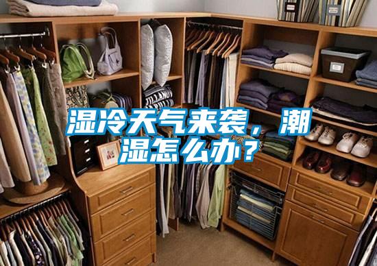 濕冷天氣來襲，潮濕怎么辦？