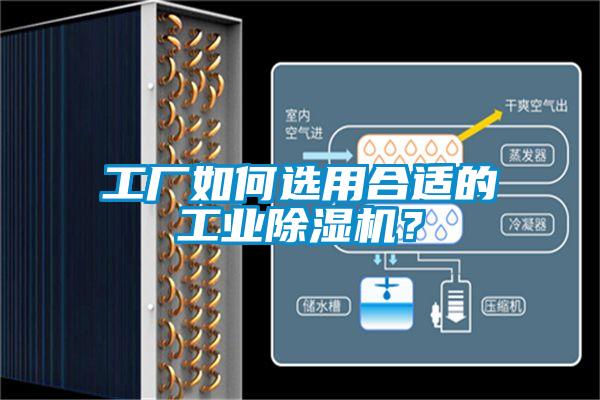 工廠如何選用合適的工業(yè)除濕機(jī)？