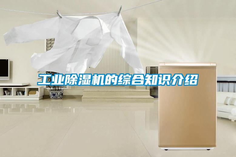 工業(yè)除濕機(jī)的綜合知識介紹