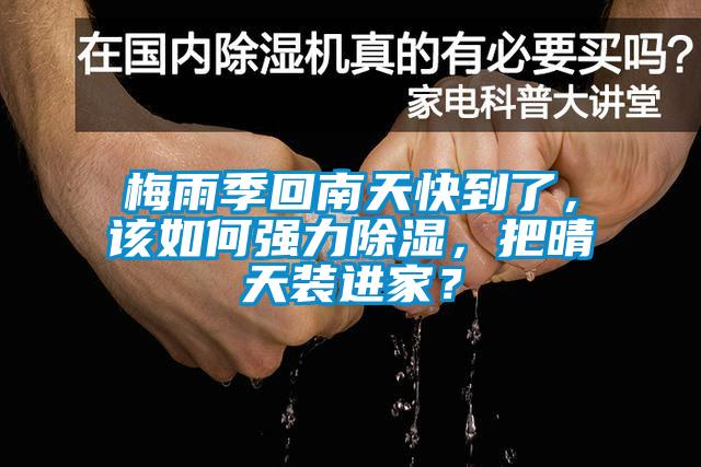 梅雨季回南天快到了，該如何強力除濕，把晴天裝進家？
