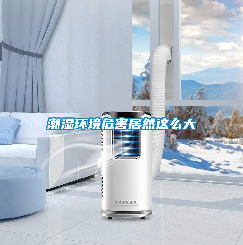 潮濕環境危害居然這么大