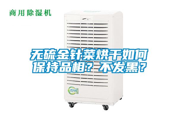 無硫金針菜烘干如何保持品相?不發(fā)黑?