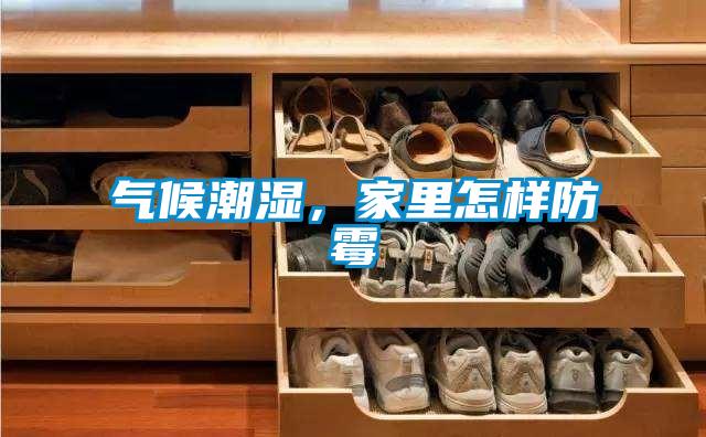 氣候潮濕，家里怎樣防霉
