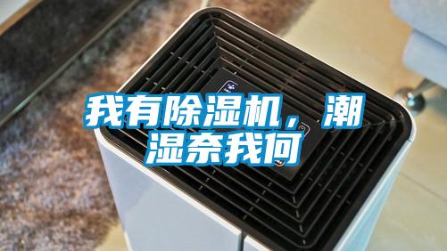 我有除濕機，潮濕奈我何