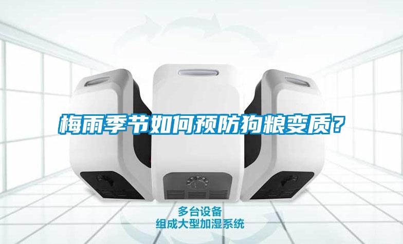 梅雨季節(jié)如何預防狗糧變質？