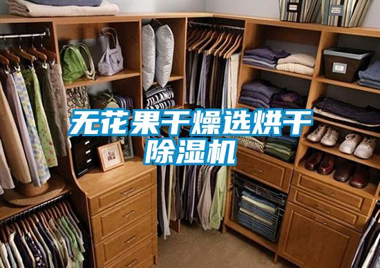 無(wú)花果干燥選烘干除濕機(jī)