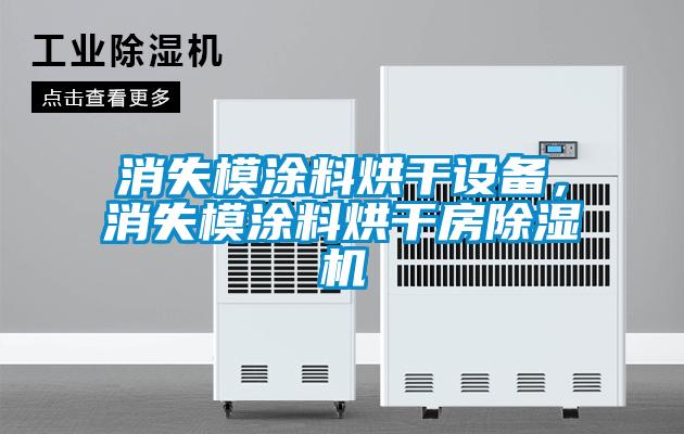 消失模涂料烘干設(shè)備,消失模涂料烘干房除濕機