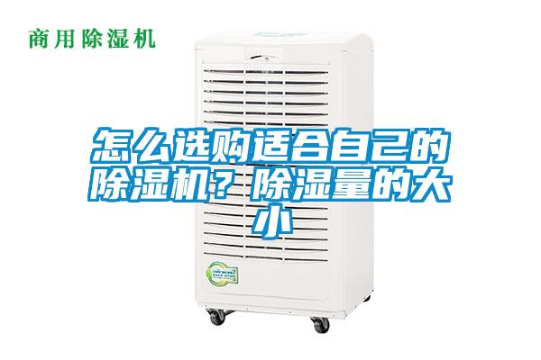 怎么選購(gòu)適合自己的除濕機(jī)?除濕量的大小