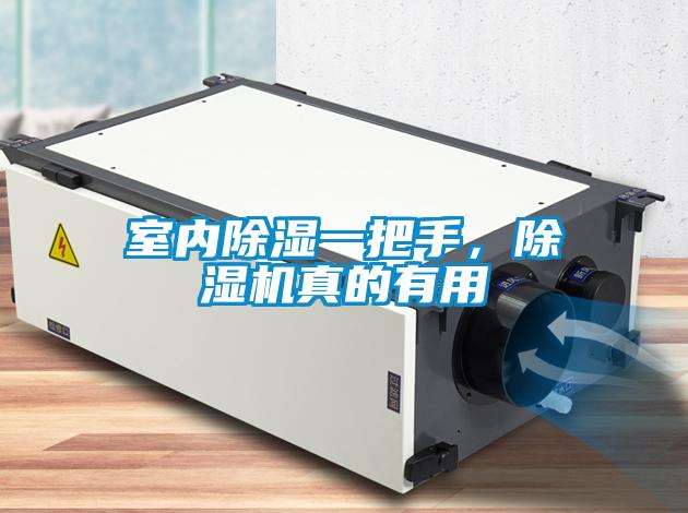 室內(nèi)除濕一把手，除濕機真的有用