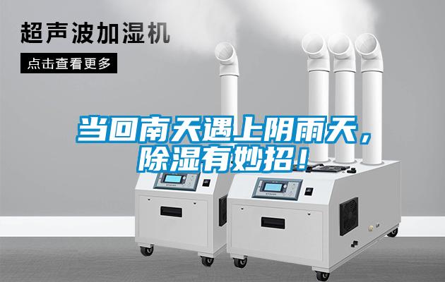 當回南天遇上陰雨天，除濕有妙招！