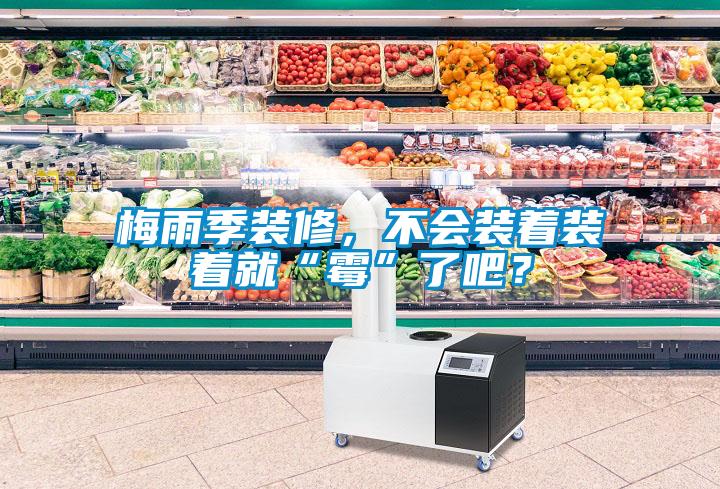 梅雨季裝修，不會裝著裝著就“霉”了吧？