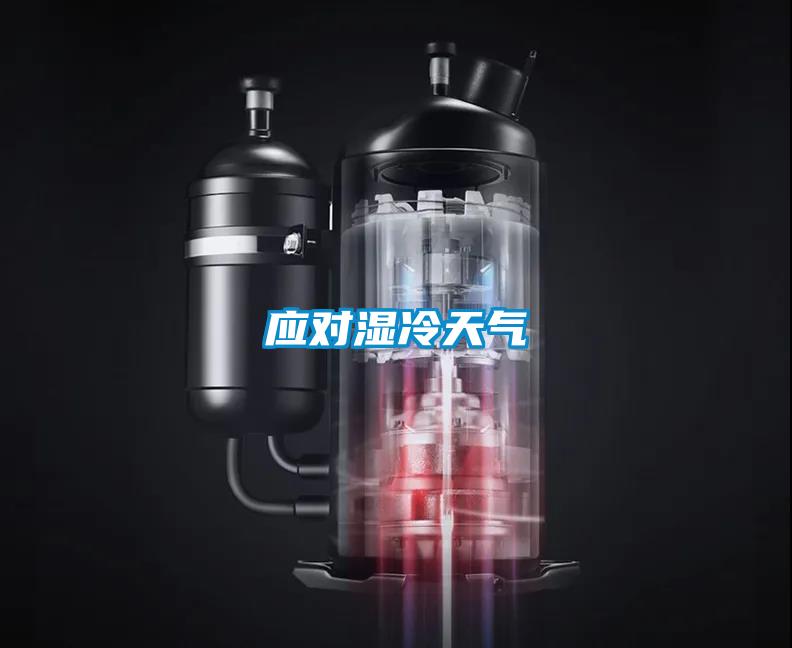 應(yīng)對(duì)濕冷天氣