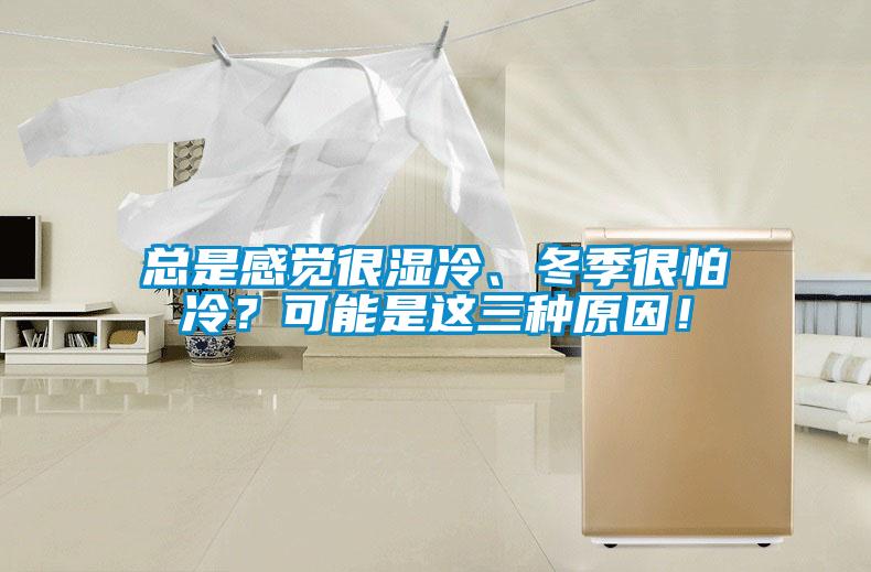 總是感覺(jué)很濕冷、冬季很怕冷？可能是這三種原因！