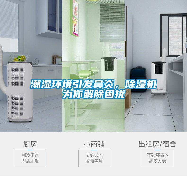 潮濕環境引發鼻炎，除濕機為你解除困擾