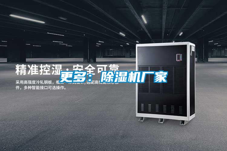 更多：除濕機(jī)廠(chǎng)家