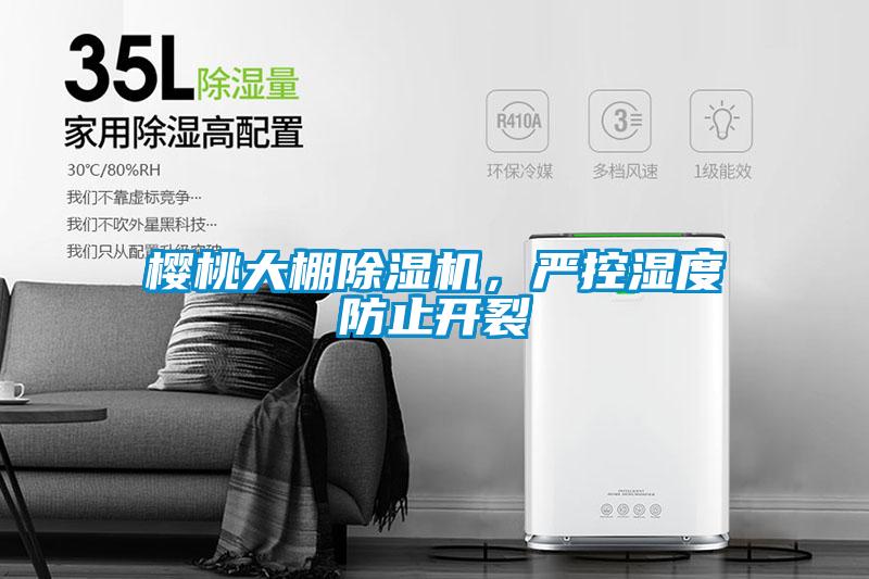 櫻桃大棚除濕機(jī)，嚴(yán)控濕度防止開裂