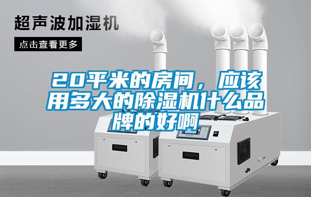 20平米的房間，應該用多大的除濕機什么品牌的好啊