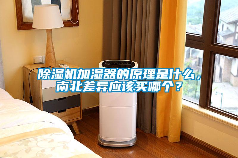 除濕機加濕器的原理是什么，南北差異應該買哪個？