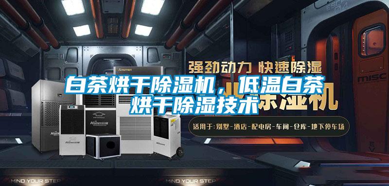 白茶烘干除濕機,低溫白茶烘干除濕技術