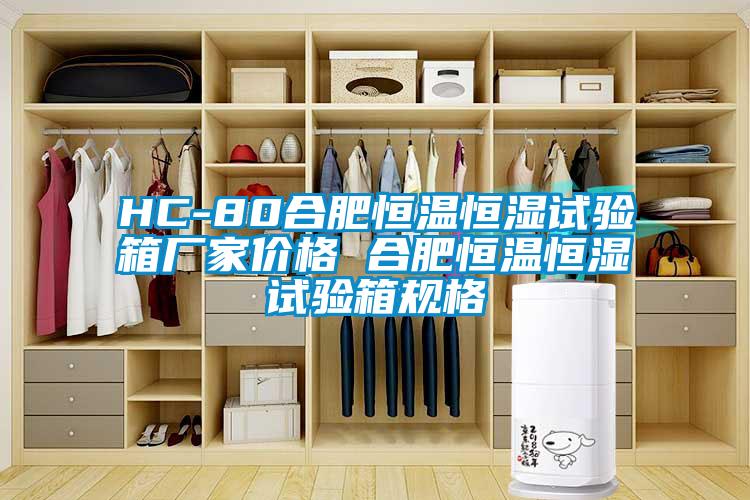 HC-80合肥恒溫恒濕試驗(yàn)箱廠家價格 合肥恒溫恒濕試驗(yàn)箱規(guī)格