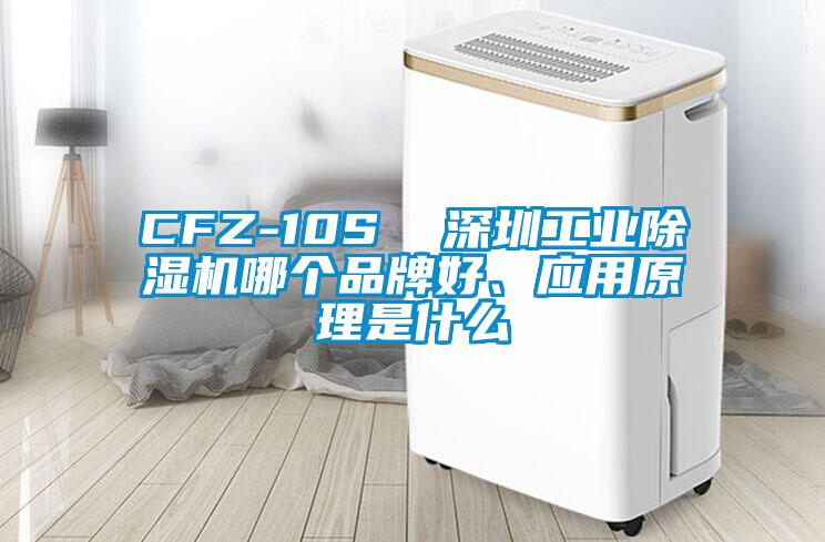 CFZ-10S  深圳工業除濕機哪個品牌好、應用原理是什么