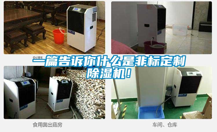 一篇告訴你什么是非標定制除濕機！
