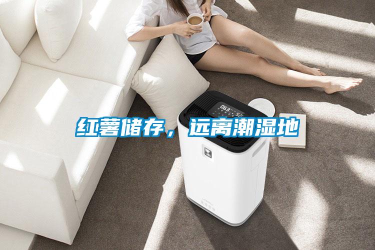 紅薯儲存,遠離潮濕地