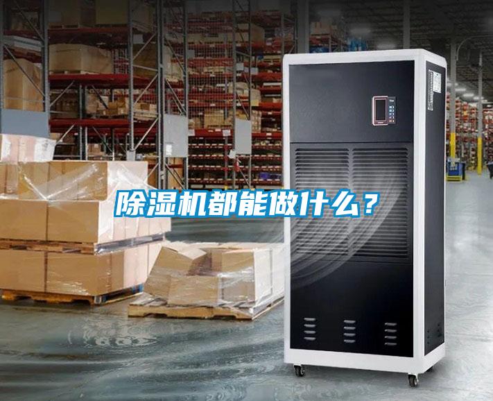 除濕機都能做什么?