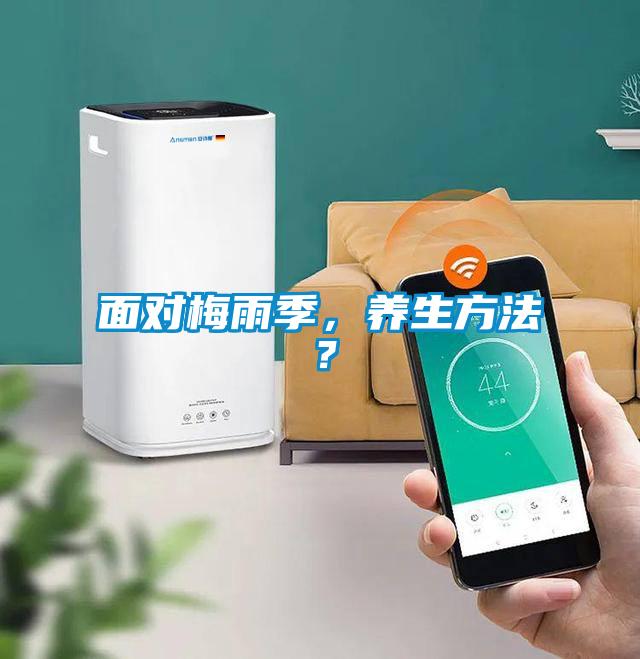 面對梅雨季，養生方法？