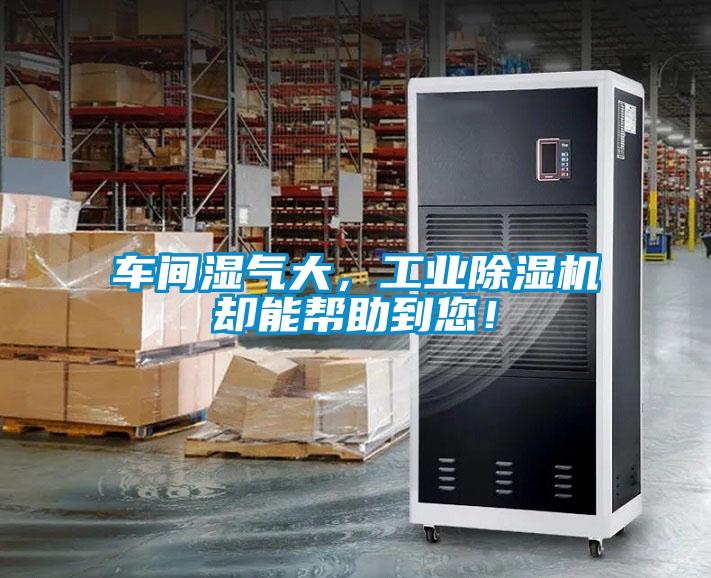 車間濕氣大，工業(yè)除濕機(jī)卻能幫助到您！