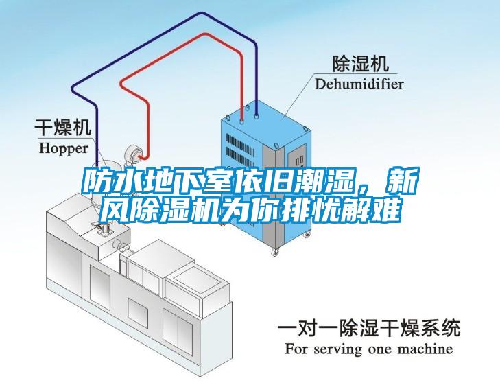 防水地下室依舊潮濕，新風(fēng)除濕機為你排憂解難
