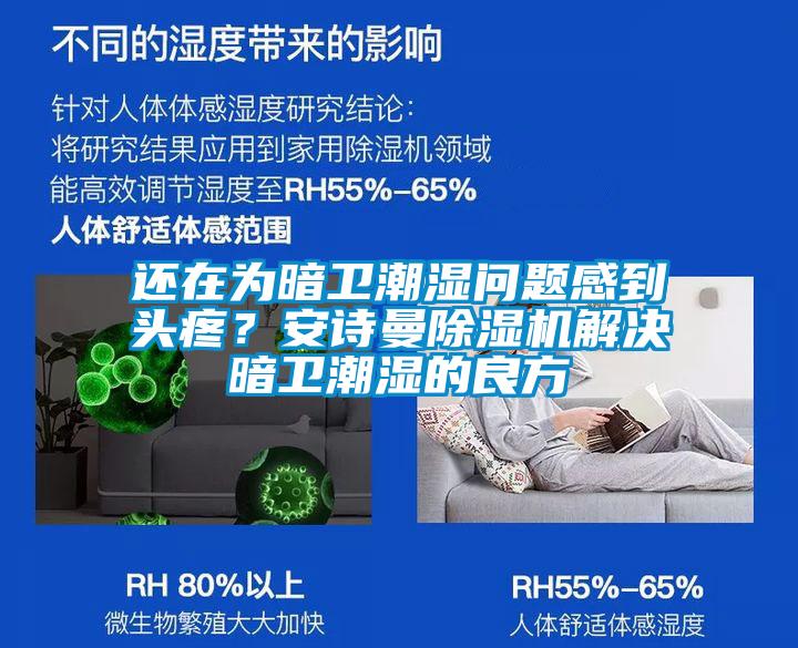 還在為暗衛(wèi)潮濕問(wèn)題感到頭疼？安詩(shī)曼除濕機(jī)解決暗衛(wèi)潮濕的良方
