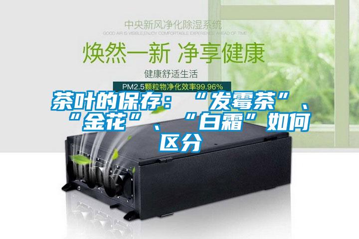 茶葉的保存：“發霉茶”、“金花”、“白霜”如何區分