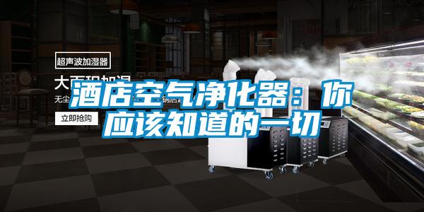 酒店空氣凈化器:你應該知道的一切