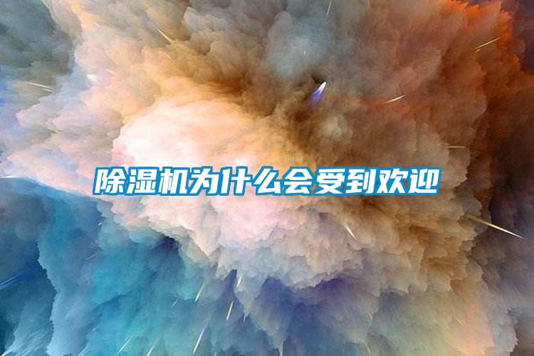 除濕機(jī)為什么會受到歡迎