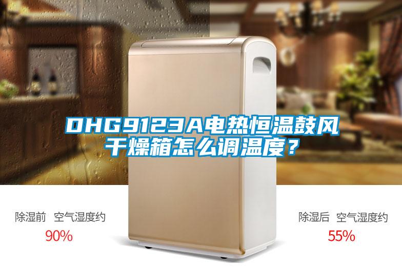 DHG9123A電熱恒溫鼓風干燥箱怎么調溫度？