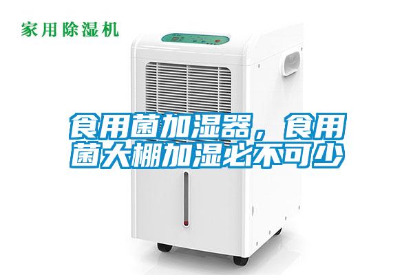 食用菌加濕器，食用菌大棚加濕必不可少