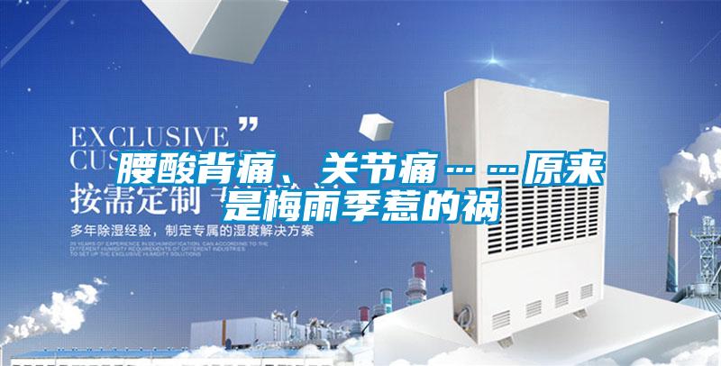 腰酸背痛、關(guān)節(jié)痛……原來是梅雨季惹的禍