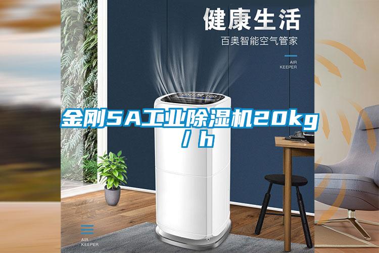 金剛5A工業除濕機20kg/h