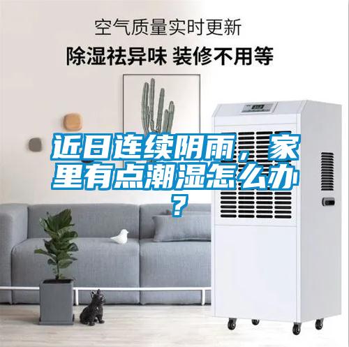 近日連續陰雨，家里有點潮濕怎么辦？