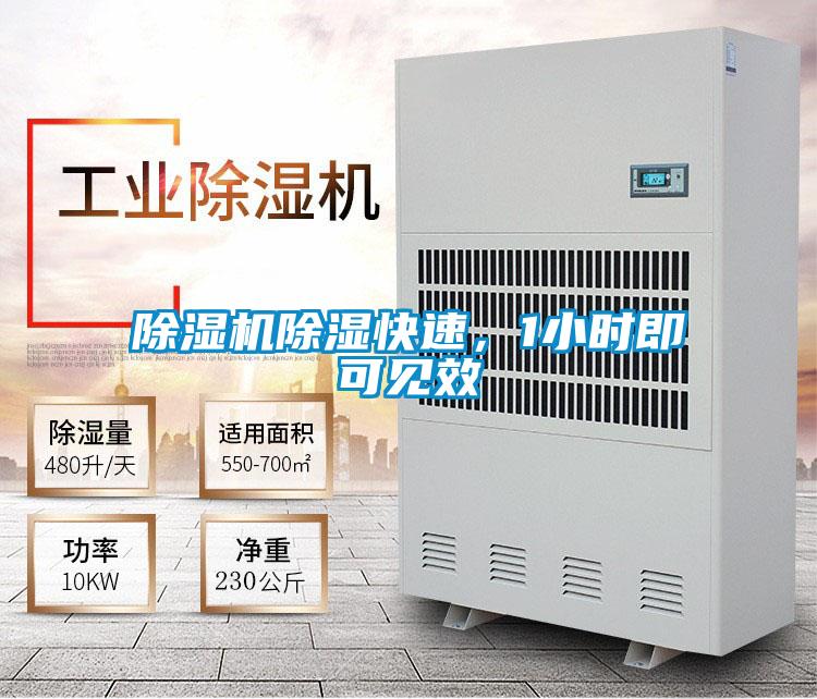 除濕機除濕快速,1小時即可見效