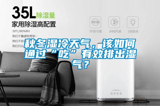 秋冬濕冷天氣，該如何通過“吃”有效排出濕氣？