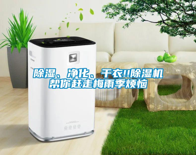 除濕、凈化、干衣!!除濕機幫你趕走梅雨季煩惱