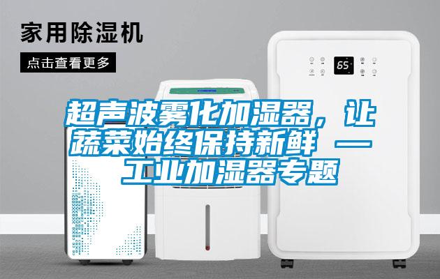 超聲波霧化加濕器，讓蔬菜始終保持新鮮 — 工業加濕器專題