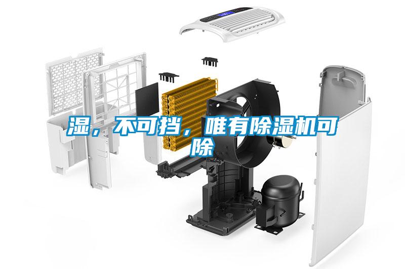 濕，不可擋，唯有除濕機可除