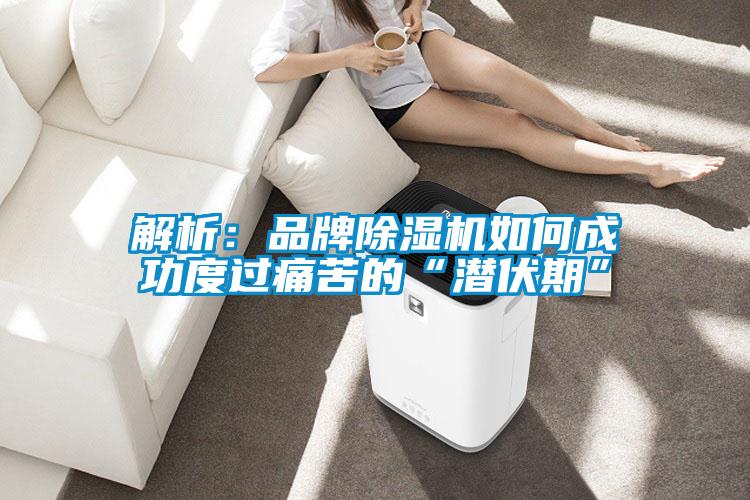 解析:品牌除濕機(jī)如何成功度過痛苦的“潛伏期”